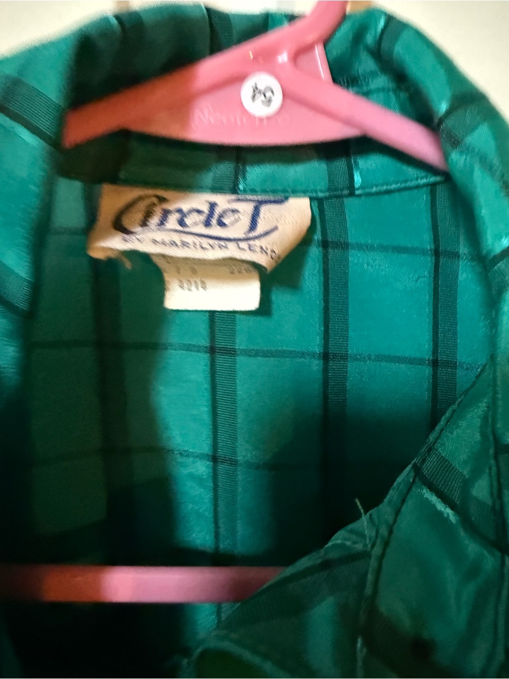 Circle T Emerald Green Ruffled Button-blouse - Picture 2 of 9